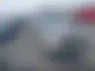 Vehicle Image- 2006 BMW Seria 5