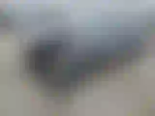 Vehicle Image- 2006 BMW Seria 5