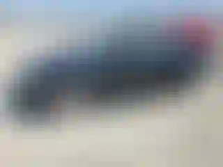 Vehicle Image- 2011 BMW Seria 3