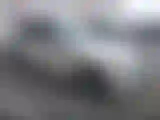 Vehicle Image- 2011 BMW Seria 3