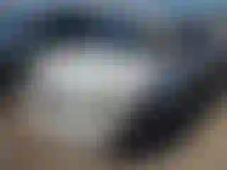 Vehicle Image- 2011 BMW Seria 3