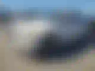 Vehicle Image- 2011 BMW Seria 3