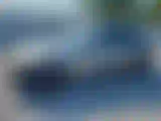 Vehicle Image- 2011 BMW Seria 3