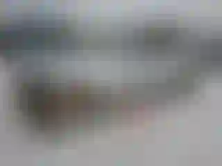 Vehicle Image- 2009 BMW Seria 3