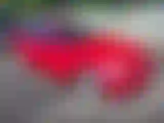 Vehicle Image- 2011 BMW Seria 3