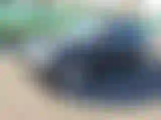 Vehicle Image- 2011 BMW Seria 3