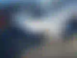 Vehicle Image- 2011 BMW Seria 3