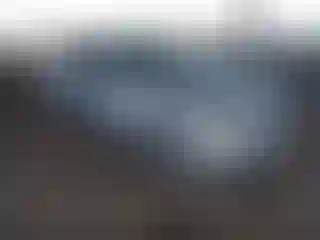 Vehicle Image- 2010 BMW Seria 3