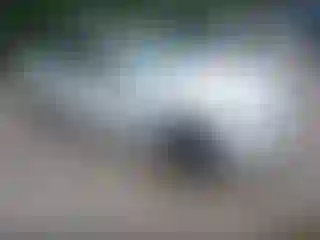 Vehicle Image- 2009 BMW Seria 3