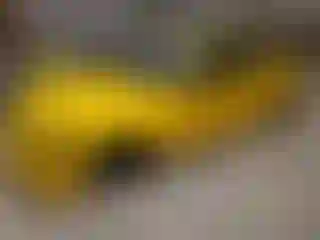 Vehicle Image- 2011 BMW Seria 3