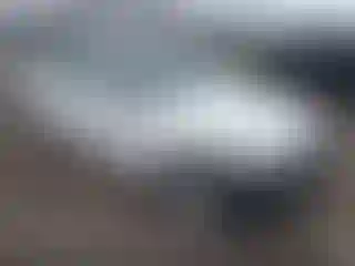 Vehicle Image- 2011 BMW Seria 3