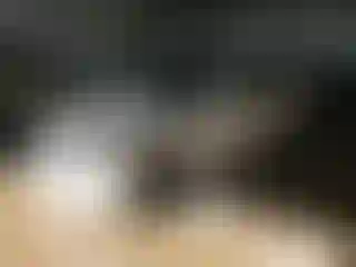 Vehicle Image- 2010 BMW Seria 3