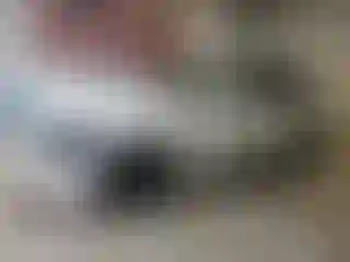 Vehicle Image- 2011 BMW Seria 3