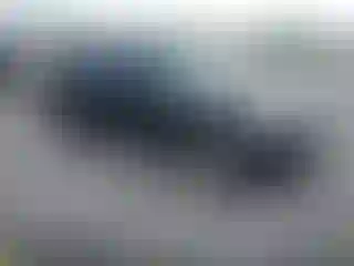 Vehicle Image- 2011 BMW Seria 3