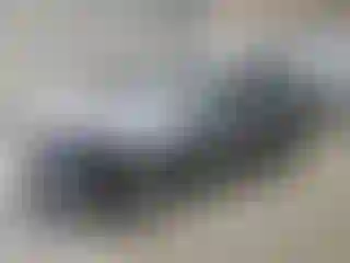 Vehicle Image- 2009 BMW Seria 3