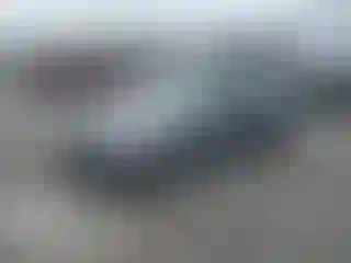 Vehicle Image- 2011 BMW Seria 3