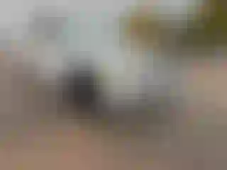 Vehicle Image- 2011 BMW Seria 3