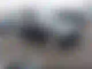 Vehicle Image- 2011 BMW Seria 3