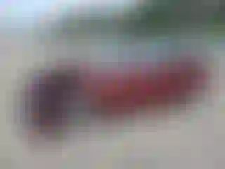 Vehicle Image- 2011 BMW Seria 3