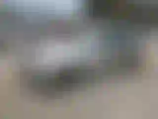 Vehicle Image- 2011 BMW Seria 3