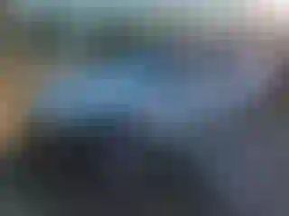 Vehicle Image- 2010 BMW Seria 3