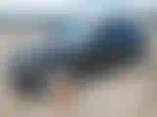 Vehicle Image- 2013 BMW Seria 1