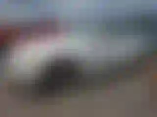 Vehicle Image- 2011 BMW Seria 3