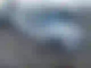 Vehicle Image- 2008 BMW Seria 3