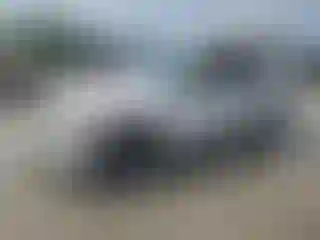 Vehicle Image- 2008 BMW Seria 3