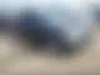 Vehicle Image- 2007 BMW Seria 3
