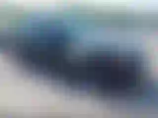 Vehicle Image- 2008 BMW Seria 3