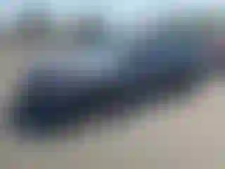 Vehicle Image- 2008 BMW Seria 3