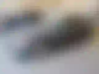 Vehicle Image- 2008 BMW Seria 3