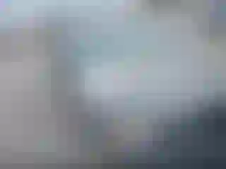 Vehicle Image- 2007 BMW Seria 3