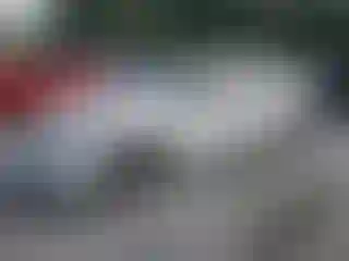 Vehicle Image- 2006 BMW Seria 3