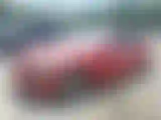 Vehicle Image- 2006 BMW Seria 3