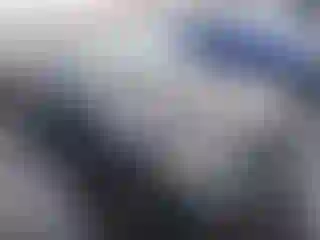 Vehicle Image- 2006 BMW Seria 3