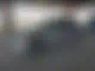 Vehicle Image- 2006 BMW Seria 3