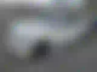 Vehicle Image- 2006 BMW Seria 3