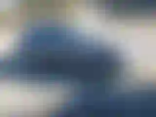 Vehicle Image- 2006 BMW Seria 3