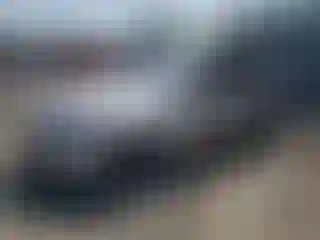 Vehicle Image- 2006 BMW Seria 3