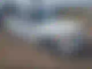 Vehicle Image- 2006 BMW Seria 3