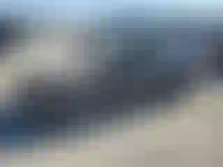 Vehicle Image- 2006 BMW Seria 3