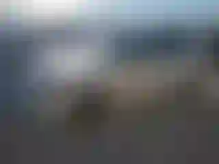 Vehicle Image- 2006 BMW Seria 3