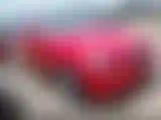 Vehicle Image- 2006 BMW Seria 3