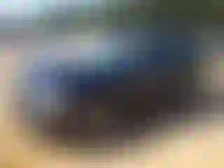 Vehicle Image- 2006 BMW Seria 3