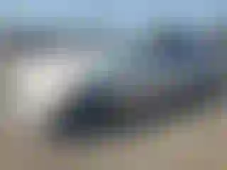 Vehicle Image- 2006 BMW Seria 3
