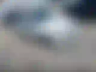 Vehicle Image- 2006 BMW Seria 3