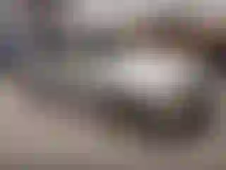 Vehicle Image- 2008 BMW Seria 3