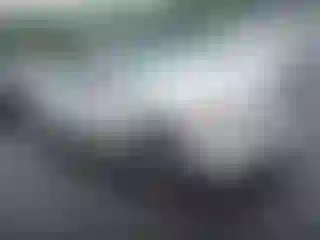 Vehicle Image- 2007 BMW Seria 3